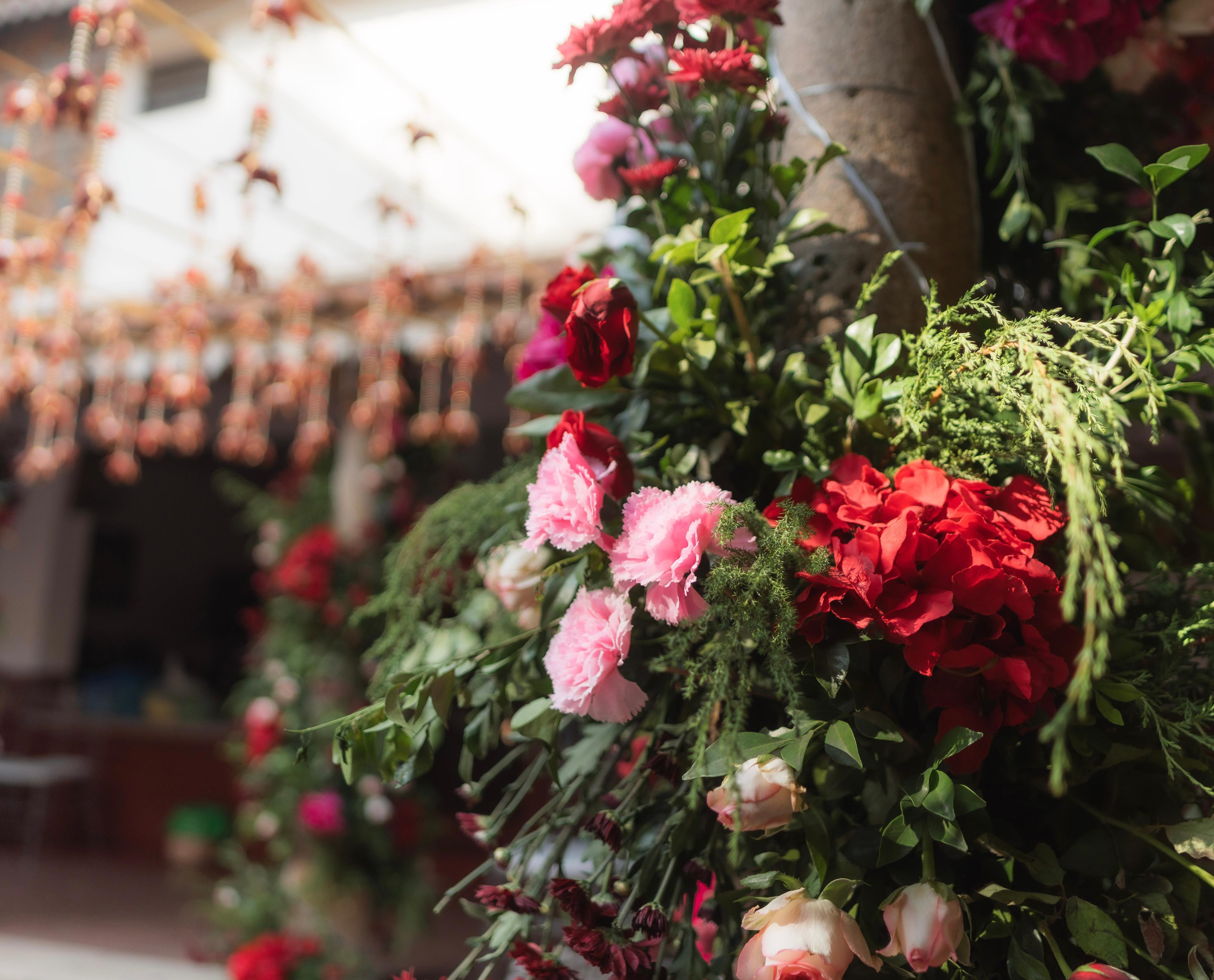 WhatsApp Image 2025-03-27 at 2.03.55 PM (3).jpeg